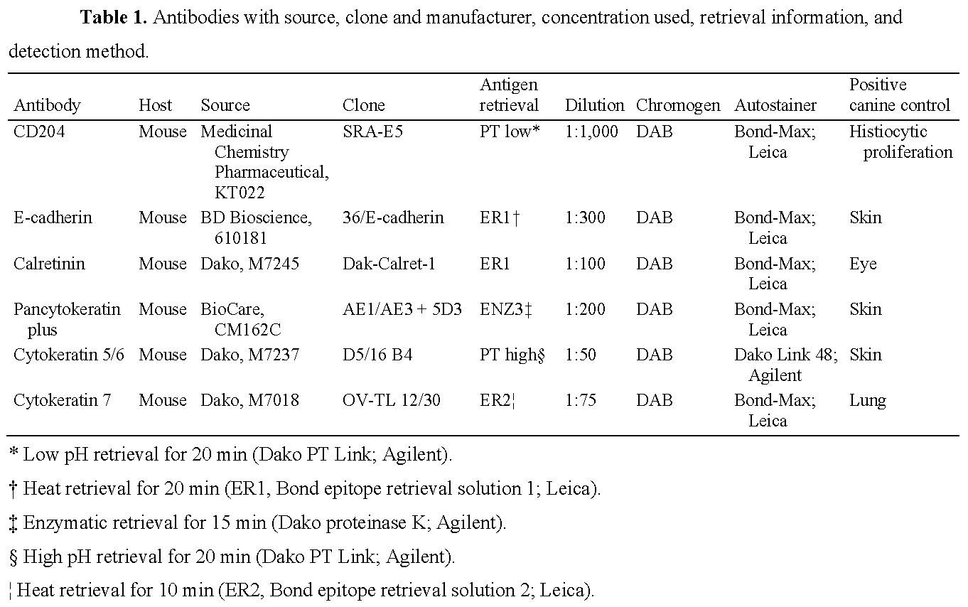 Example 2 Table